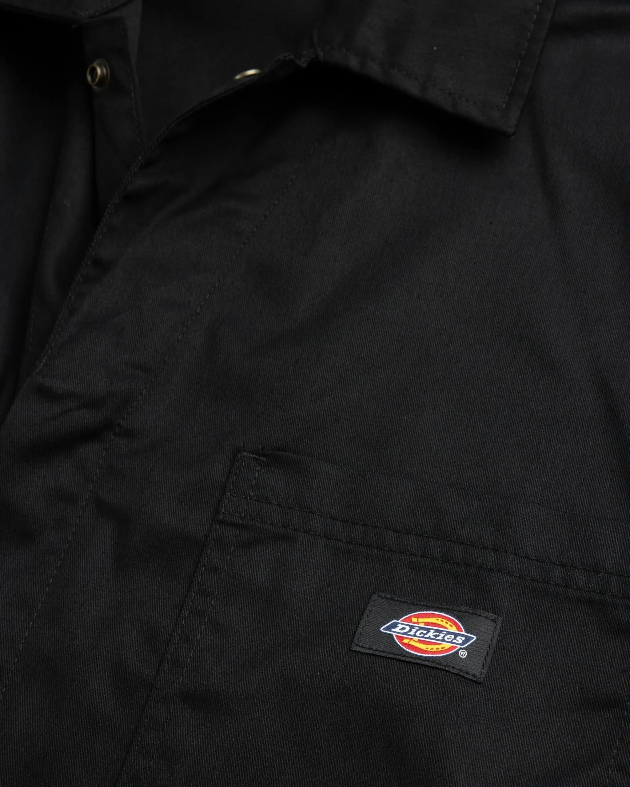 Dickies Haughton LS M- Pants