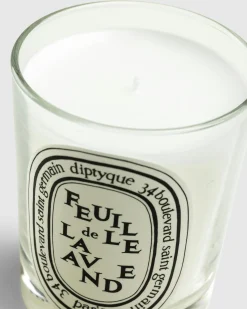 Diptyque Standard Candle Feuille de Lavande 190g- Candles & Fragrances