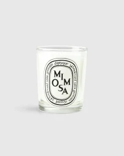 Diptyque Standard Candle Mimosa 190g- Candles & Fragrances
